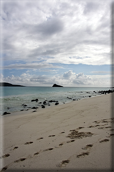 foto Isole Galapagos